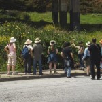 Joel attends a Nature in the City tour to a spring on 24th St. (photo: Iris Clearwater) A crowd in front of a green, weedy area