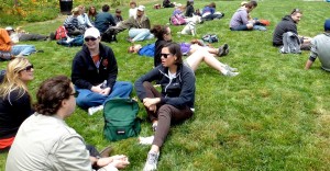 People sitting on lawn talking